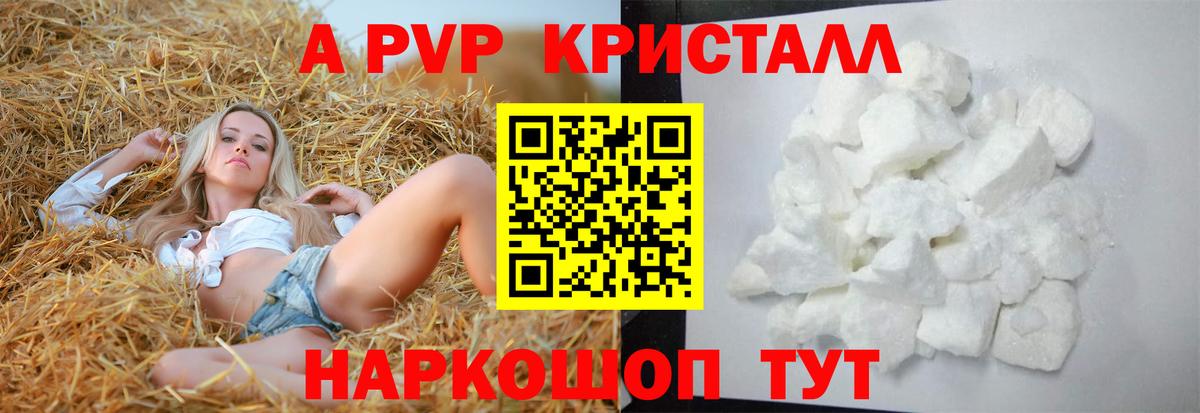 A-PVP СК КРИС Кисловодск