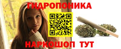 дурь Кингисепп