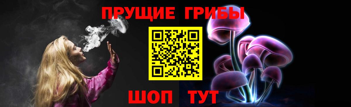 Псилоцибиновые грибы Psilocybe Кисловодск